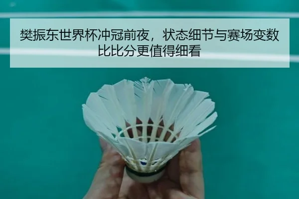 樊振东世界杯冲冠前夜，状态细节与赛场变数比比分更值得细看